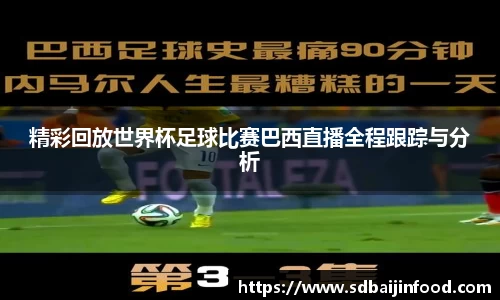 精彩回放世界杯足球比赛巴西直播全程跟踪与分析