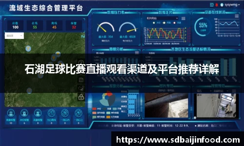 石湖足球比赛直播观看渠道及平台推荐详解