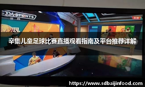 辛集儿童足球比赛直播观看指南及平台推荐详解