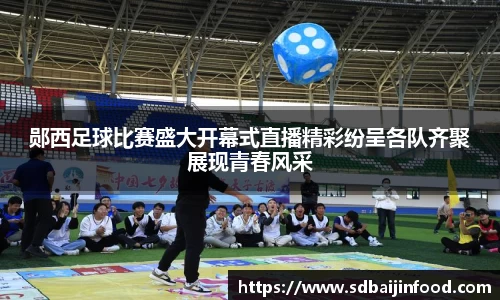 郧西足球比赛盛大开幕式直播精彩纷呈各队齐聚展现青春风采