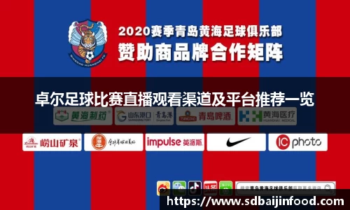 卓尔足球比赛直播观看渠道及平台推荐一览
