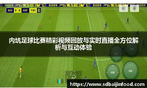 内坑足球比赛精彩视频回放与实时直播全方位解析与互动体验