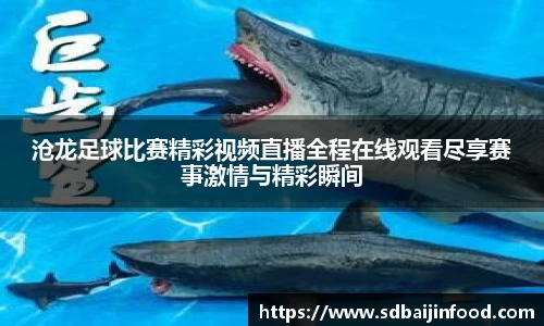 沧龙足球比赛精彩视频直播全程在线观看尽享赛事激情与精彩瞬间