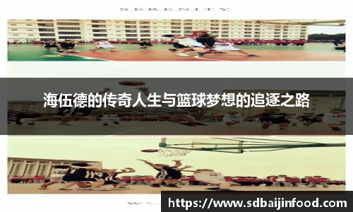 海伍德的传奇人生与篮球梦想的追逐之路