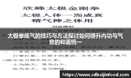 太极拳练气的技巧与方法探讨如何提升内功与气息的和谐统一